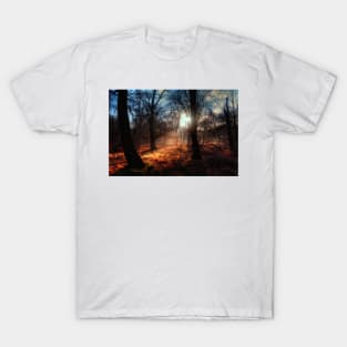 Autumn in Epping Forest T-Shirt